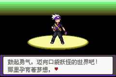 GBA карточка игры NDS Pokemon-Dark Phantom 5.0EX+BW Clock китайская версия чип памяти