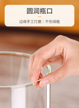玻璃花瓶透明插花水养龟背竹富贵竹马醉木雪柳客厅摆件ins高级感