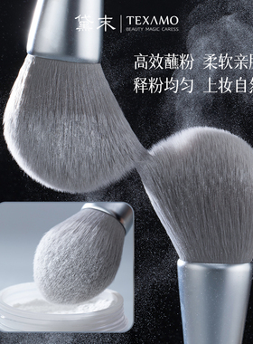 Texamo/黛末中国月光散粉刷