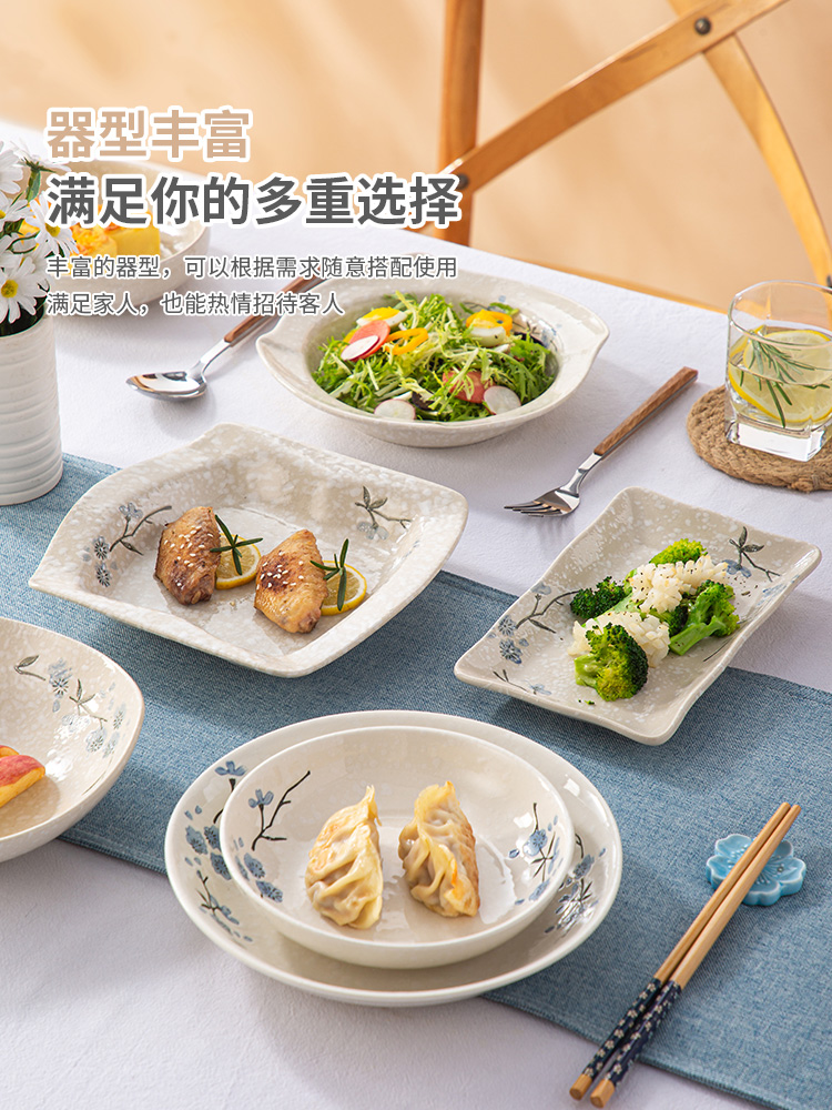 雪花瓷盘子陶瓷套装 日式韩式创意餐具泡菜碟 深盘饭盘汤盘寿司盘 - 图3