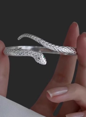灵蛇形银手镯 女纯银999足银实心镯子本命年小众手环送女朋友礼物