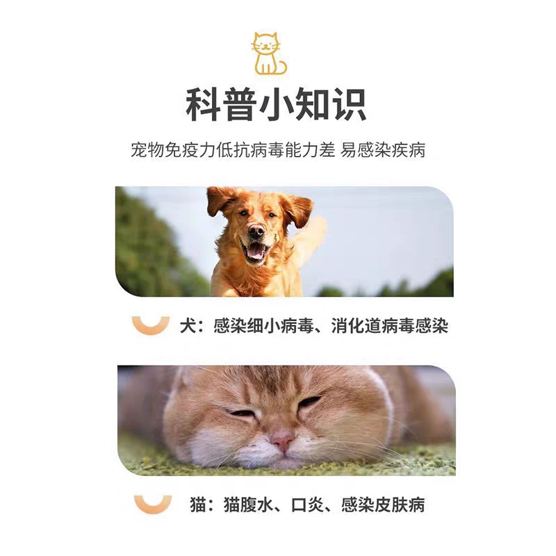 宠物蛋白粉IGG 乳铁增免疫力猫咪氨基酸狗狗蛋白粉幼猫幼犬维生素,淘宝优惠券,粉丝福利购,淘宝优惠卷