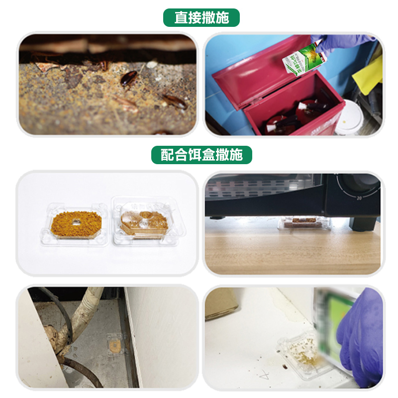 卫诚呋虫胺杀蟑螂饵剂家用室内住所宾馆诱杀蟑螂药蜚蠊粉剂-图1