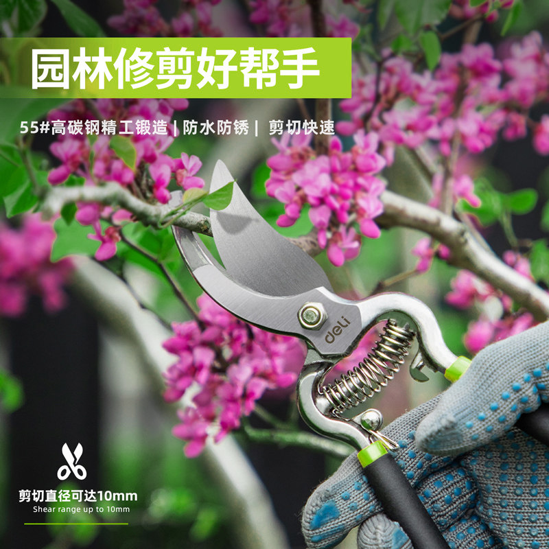 得力剪枝剪刀园林花艺修剪树枝剪刀果树剪刀粗大花剪园艺剪子工具,淘宝优惠券,粉丝福利购,淘宝优惠卷