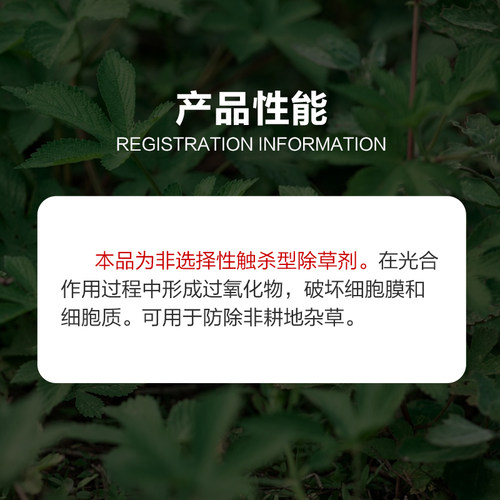 敌草快除草剂敌草怏触杀型除草剂果园荒地非耕地灭生性除草剂 - 图1
