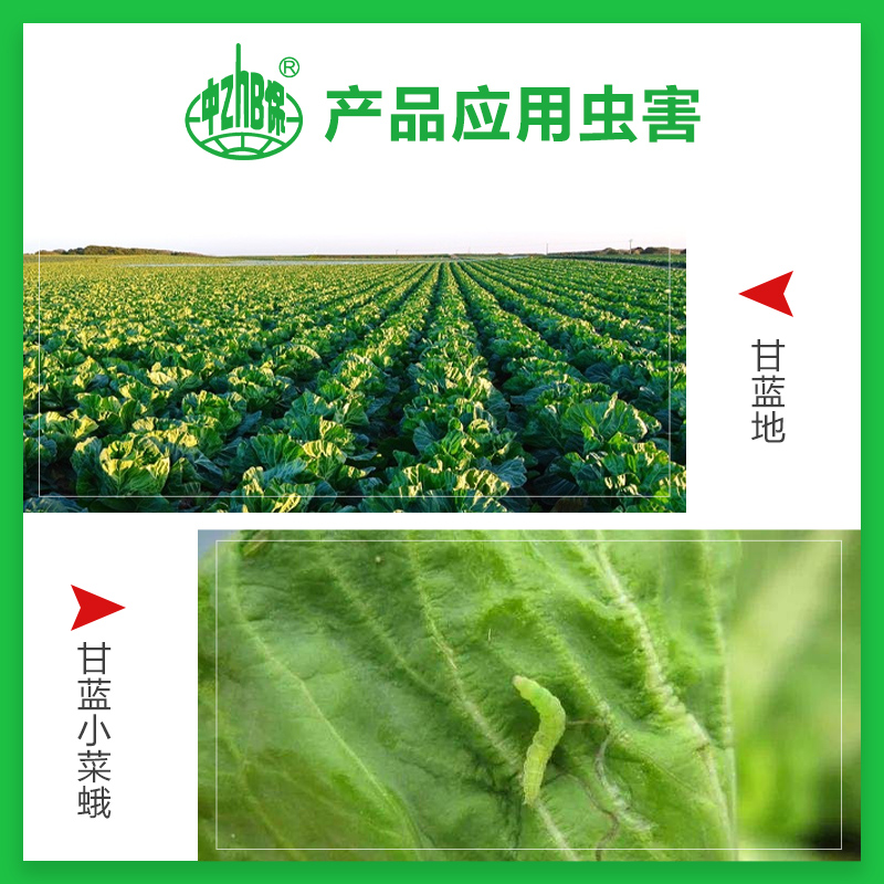 甲维虫螨腈 12%蔬菜甘蓝小菜蛾青虫甲氨基阿维菌素杀虫剂1公斤 - 图0