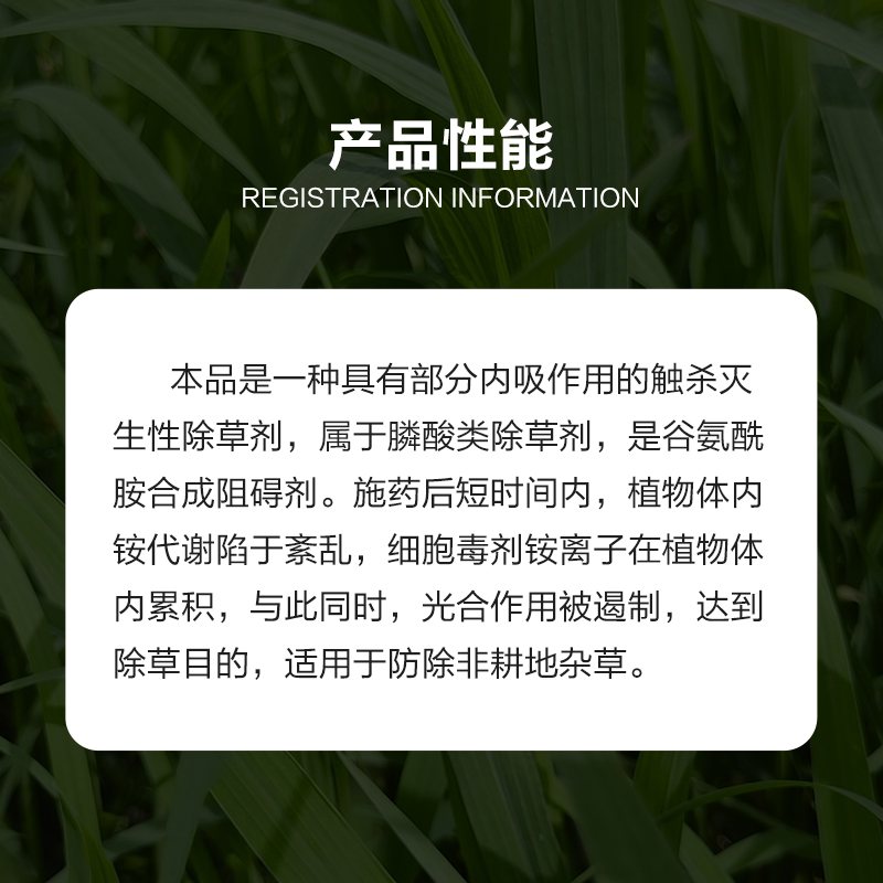 百速顿20%精草铵膦草铵磷草胺磷果园茶园荒地牛筋草小飞蓬除草剂-图2