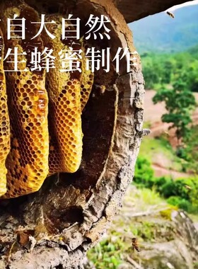 桂花蜂蜜润唇膏修复滋润丰润