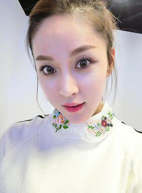 中国风领子刺绣百搭假衣领