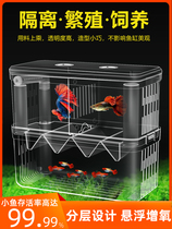 Peacock Fish Breeding Box Small Fish Isolation Box Hatchbox Tropical Fish Fish Tank Young Fish Size Incubators Spawning Room