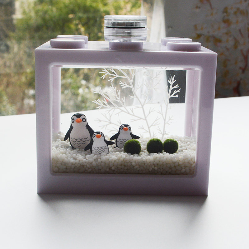 幸福海藻球marimo水培微景观生态瓶鱼缸创意桌面迷你植物DIY礼物,淘宝优惠券,粉丝福利购,淘宝优惠卷