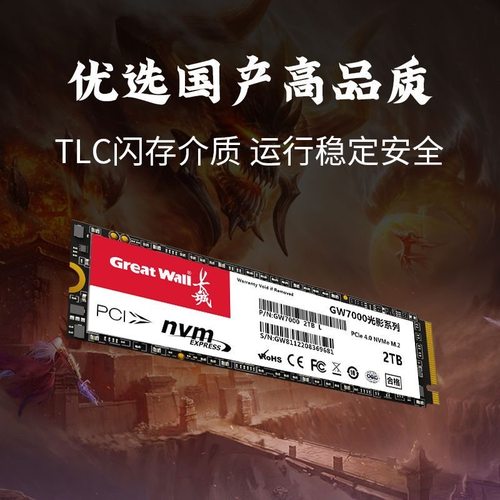 Great Wall/长城GW3300全新256G512G1T高速NVME固态PCI-E3.0硬盘 - 图2