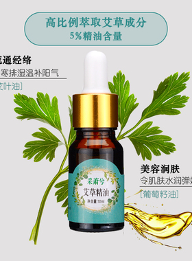 蕲艾蓝色全身按摩通经络艾草精油