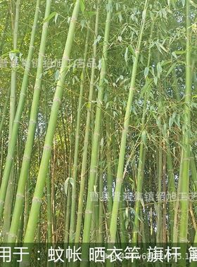 竹子黄瓜装饰婚庆青竹杆竹棍古风围栏藤架户外篱笆旗杆楠竹搭架