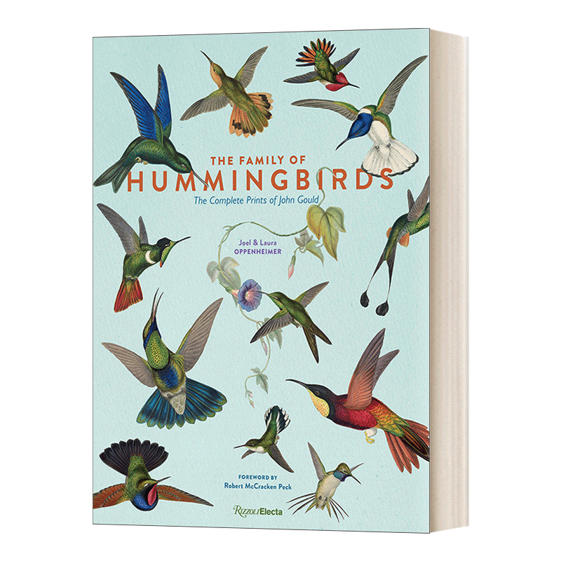 英文原版 The Family of Hummingbirds 蜂鸟家族 插图 精装 英文版 Joel Oppenheimer、Laura Oppenheimer 进口英语原版书籍 - 图0