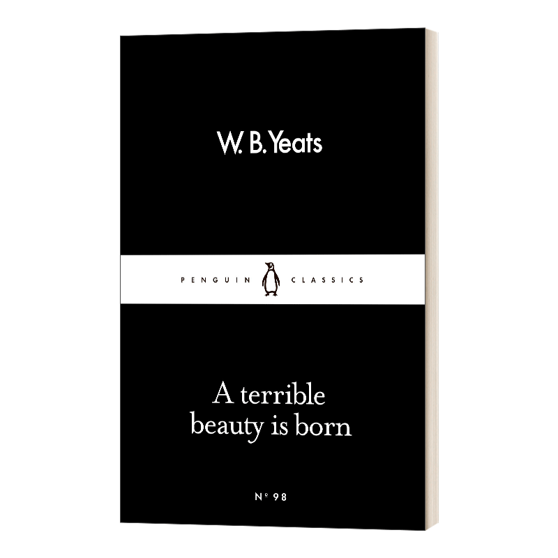 英文原版 A Terrible Beauty Is Born 叶芝 一种惊异的美诞生了 英文版 W B Yeats 进口英语原版书籍 - 图0