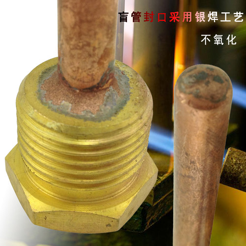 保护PT100温度传感器探头全铜导热水箱盲管4分6分螺纹探头保护套 - 图1