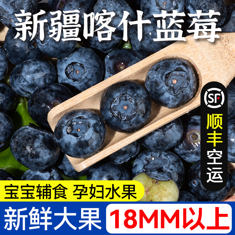 新疆喀什蓝莓 新鲜蓝莓特大果125g*6盒宝宝辅食孕妇水果顺丰空运 - 图0