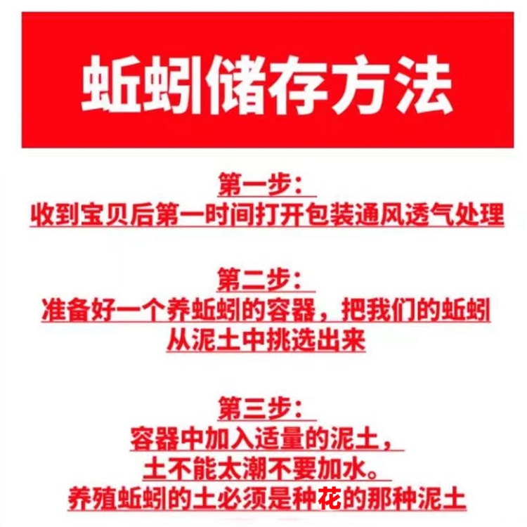 鲜活青蚯蚓钓黄鳝活体黑蚯蚓特大臭蚯蚓地龙松土蚯蚓垂钓钓鱼活饵 - 图3