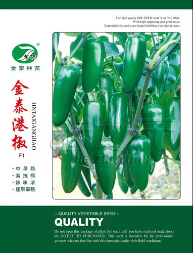 港椒种子辣椒种籽腌咸菜子弹椒泡椒种子春季四季农家田园盆栽种孑 - 图1