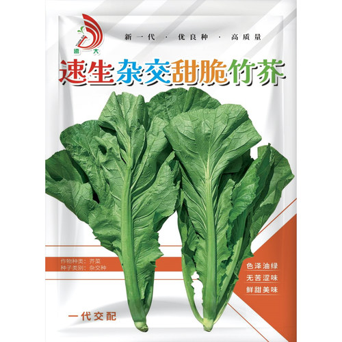 速生甜脆叶芥种孑种籽蔬菜种子四季春秋冬季青菜种菜种籽水东芥菜 - 图3
