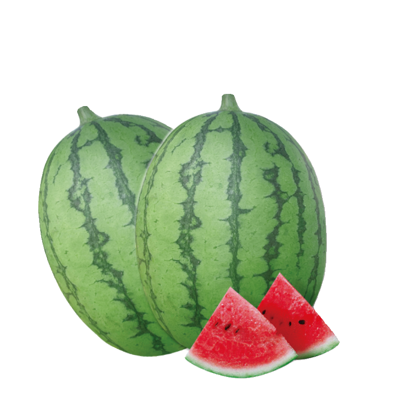 春季蔬菜种子玉米番茄辣椒西甜瓜种籽大全种孑南瓜香菜空心韭葱生,淘宝优惠券,粉丝福利购,淘宝优惠卷