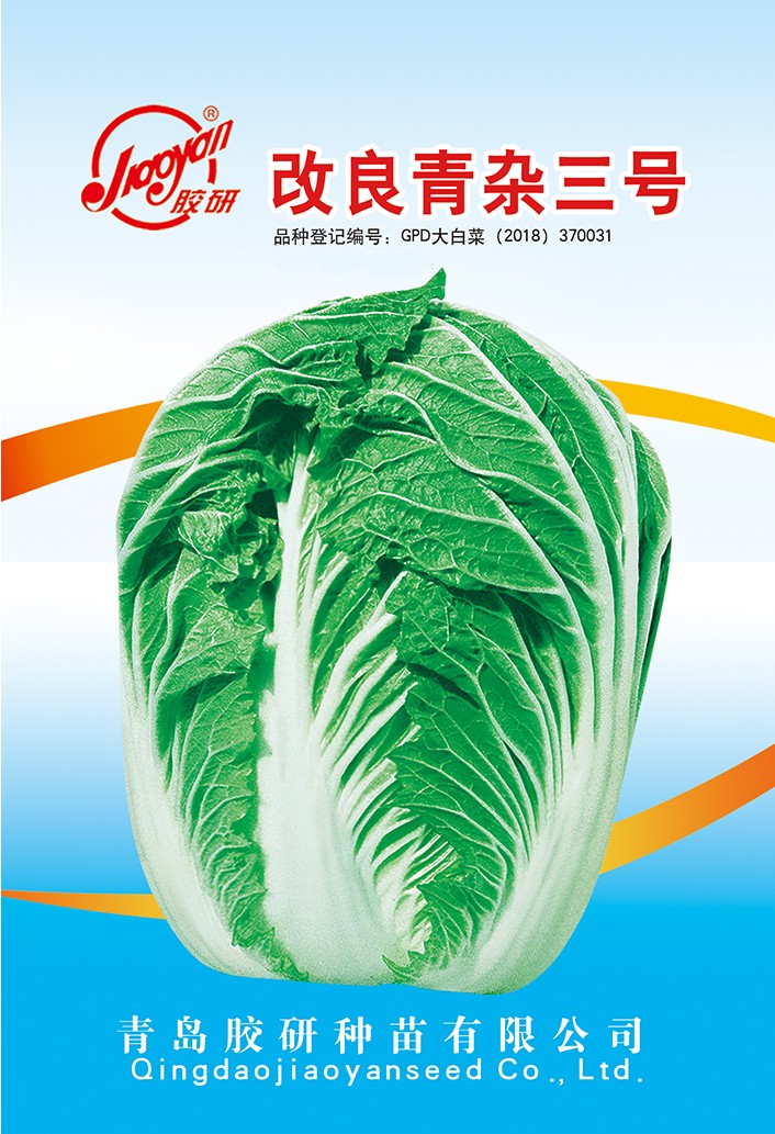 图3