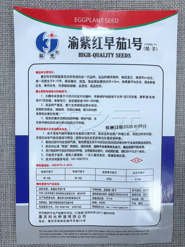 渝紫红早茄一号种子紫红色茄子种籽四季春季农家田园蔬菜茄子种孑 - 图2