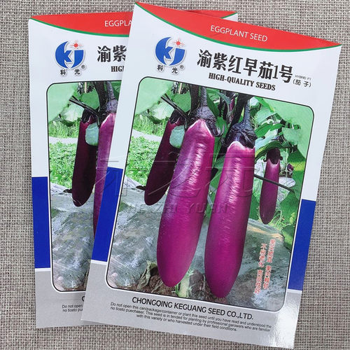 渝紫红早茄一号种子紫红色茄子种籽四季春季农家田园蔬菜茄子种孑 - 图1