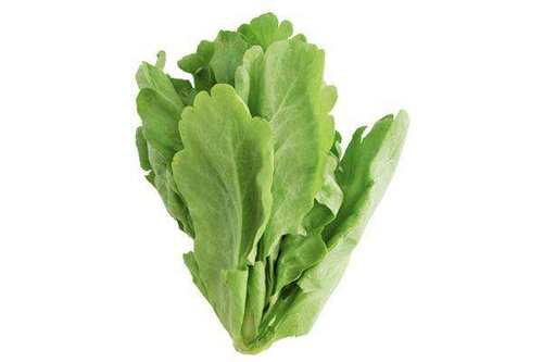 茼蒿菜籽大叶茼蒿种子茼蒿菜种大全秋蔬菜茼蒿种籽春夏秋冬四季孑 - 图3