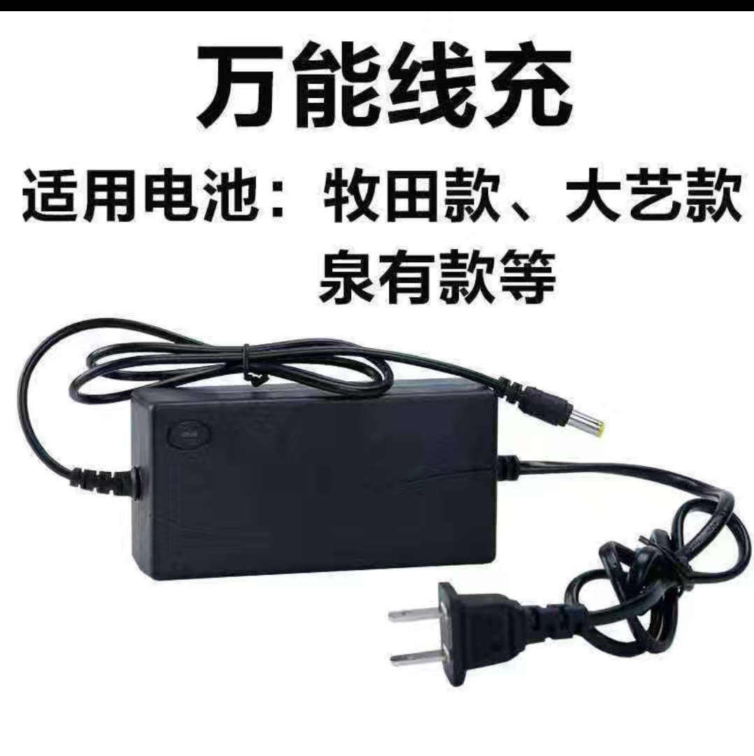 12V16.8VF21V25V36V48V42VF68V充电钻手电钻手枪扳手锂电池充电器 - 图1