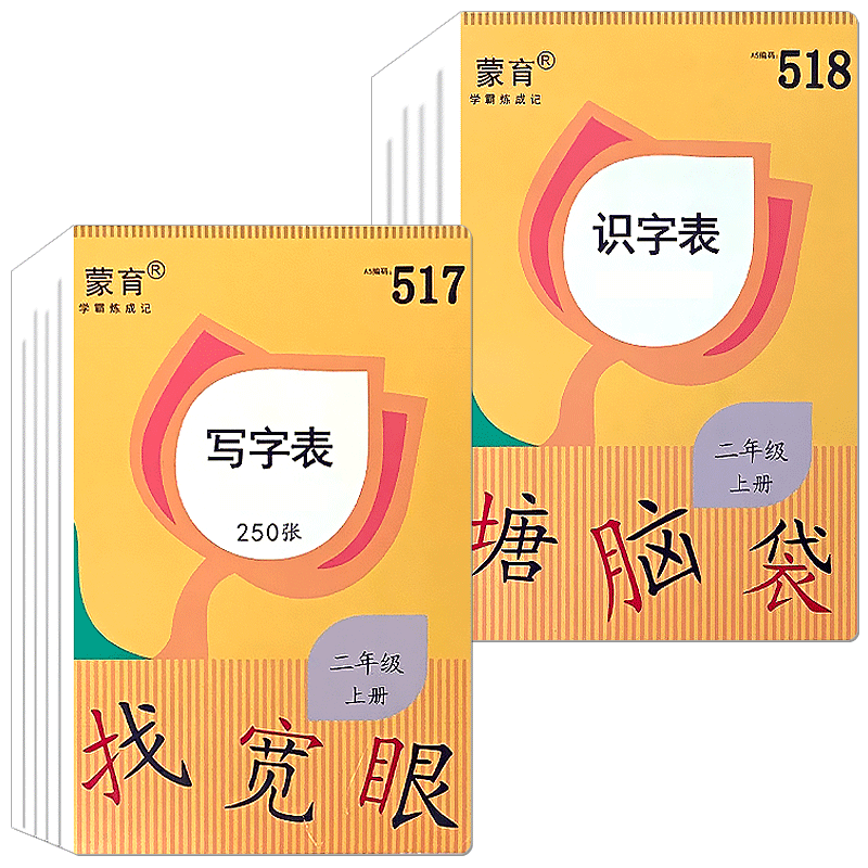 小学二年级上下册生字卡片教师专用语文教具识字卡片大卡人教版部编版同步教学识字写字表生字词语组词造句会认写一二类字赠磁吸扣