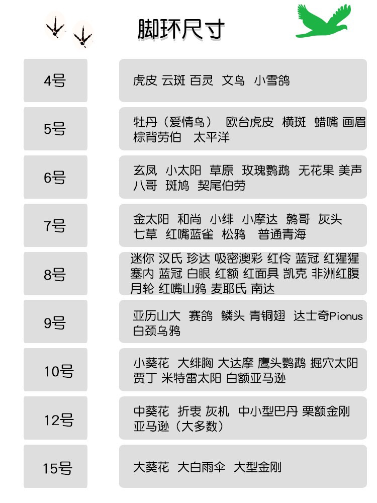 鹦鹉放飞防咬外出遛鸟绳八哥乌鸦玄凤虎皮牡丹训练飞行脚链脚环 - 图1