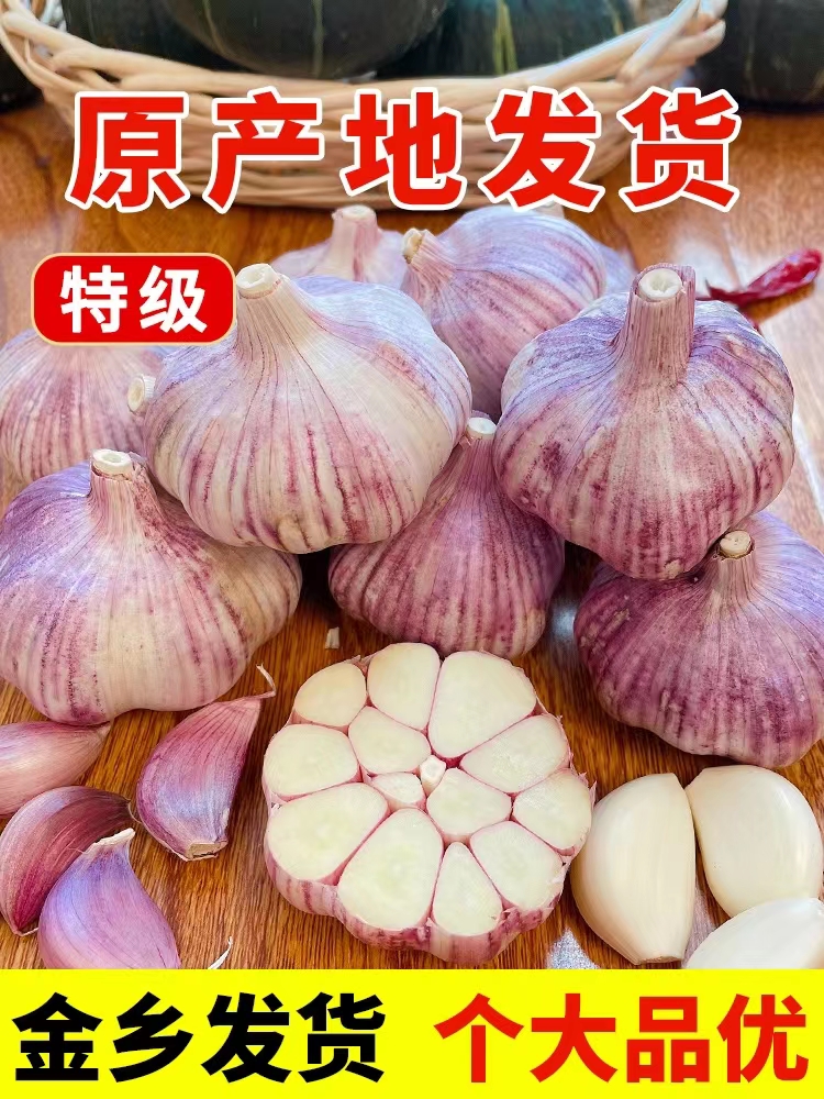 2023年新鲜大蒜头现挖鲜蒜特级大果5斤9斤紫皮腌制糖醋大祘鲜蒜头_豪登生鲜农产品_水产肉类/新鲜蔬果/熟食-第4张图片-提都小院