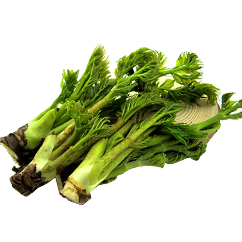 刺老芽种子东北刺老芽籽春播四季山野菜香椿芽蔬菜种孑多年生 - 图3