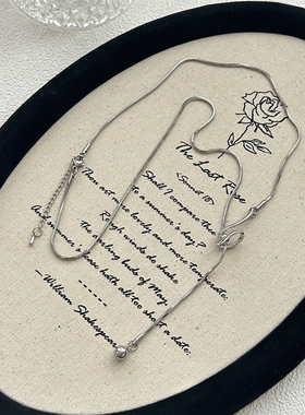 秋冬冷淡风项链女气质毛衣链配饰