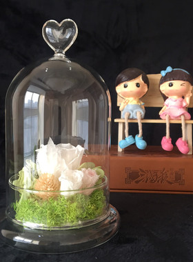 永生花苔藓微景观玻璃瓶展示罩