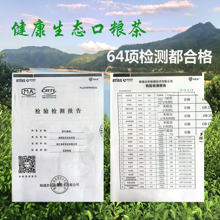 泰顺三杯香茶叶2024新茶御茗高山云雾茶办公香茶袋装耐泡炒青绿茶 - 图3