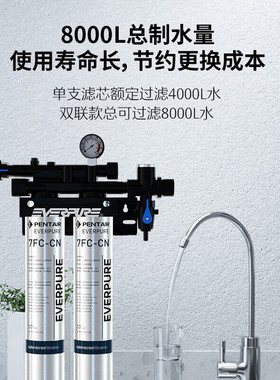 爱惠浦（Everpure）净水器Twin PF-7FC-CN双联商用净水机双芯过滤