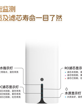 爱惠浦净水器CPRO-1000E纯水机商用家用厨下RO反渗透餐饮店直饮机