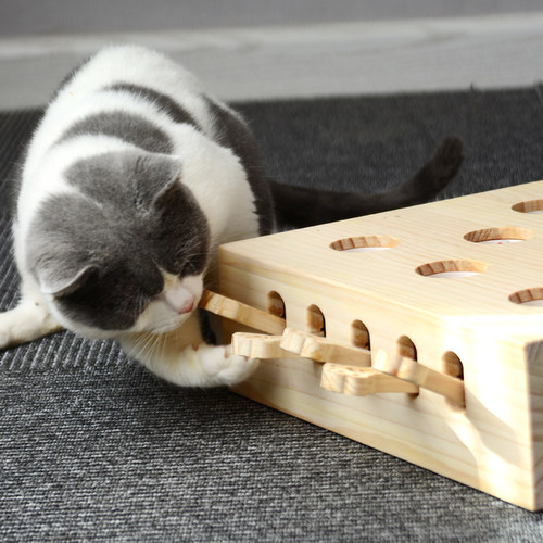 猫玩具打地鼠猫抓板逗猫棒网红打地鼠宠物互动自嗨实木猫咪用品 - 图2