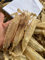 Peak Moms BEAUTIFUL GUM DEEP SEA LARGE EARM BLUE RED MOUTH RED GUM FISH GUM FLOWER GUM FISH BELTED MOON TONIC 250 gr