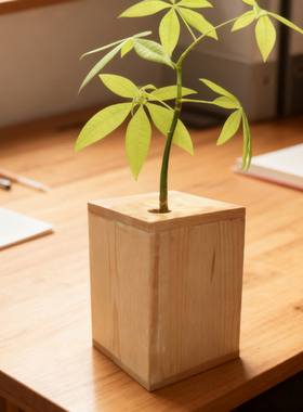 原创斗鱼缸摆件水培植物节日送礼
