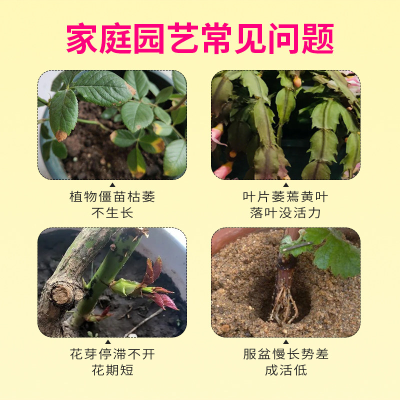 卡纳玛朵智补复壮素营养液花卉绿植多肉改善僵苗活力素园艺养花肥,淘宝优惠券,粉丝福利购,淘宝优惠卷