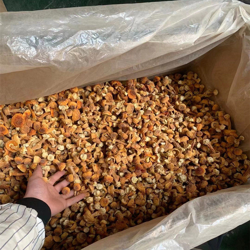 姬松茸干货精选云南新货无碎姬松茸巴西菇松茸菇250克500克包邮,淘宝优惠券,粉丝福利购,淘宝优惠卷