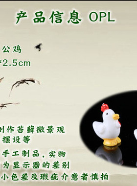 生态瓶盆栽白色微观摄影小摆件