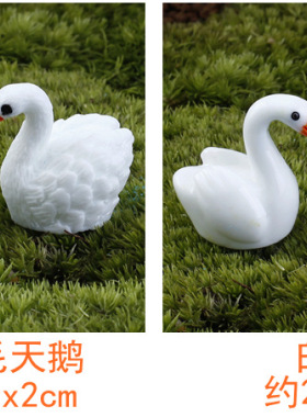多肉园艺拍摄树脂微观情侣小道具