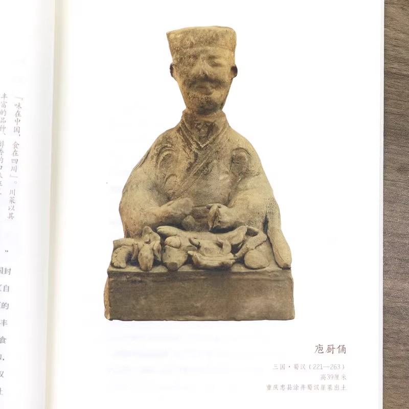 【现货正版】四川博物院 风物荟萃毓天府 丝路物语系列文物考古社科全国博物馆通识知识读本西南文明和艺术的简明教科书