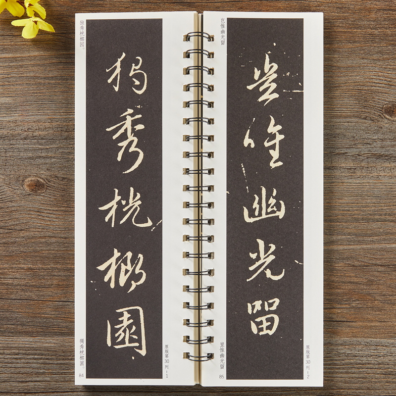 【现货正版】赵孟頫梅花诗行书毛笔书法字帖原大加放大赵孟俯经典碑帖临摹字卡全文初学者成人入门练习近距离临帖卡诗帖 - 图3