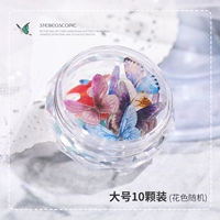 Большие 10 цветов случайные